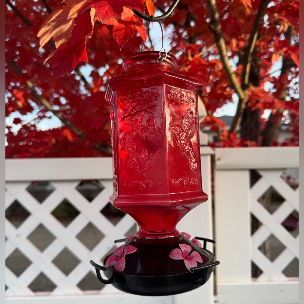 Red Glass Hummingbird Feeder - Picture 3 of 7